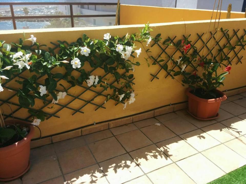 431 - Edif Aguamarina - Vacation Rental Home In The Coast Line Of Golf Del Sur San Miguel de Abona Extérieur photo