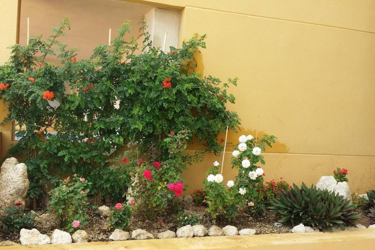 431 - Edif Aguamarina - Vacation Rental Home In The Coast Line Of Golf Del Sur San Miguel de Abona Extérieur photo